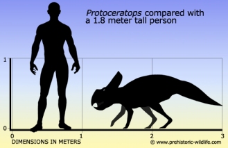 Source: www.prehistoric-wildlife.com